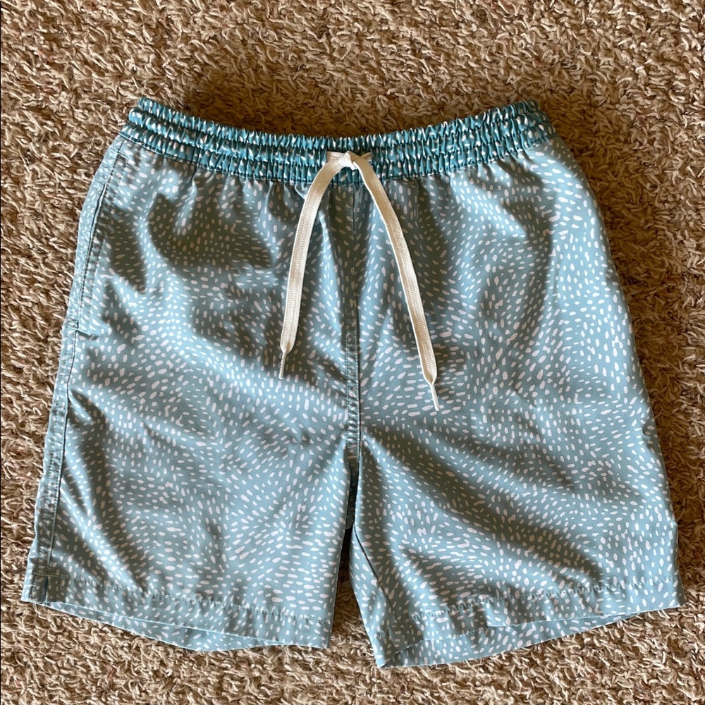 Chubbies Boys Lined Classic Swim Trucks